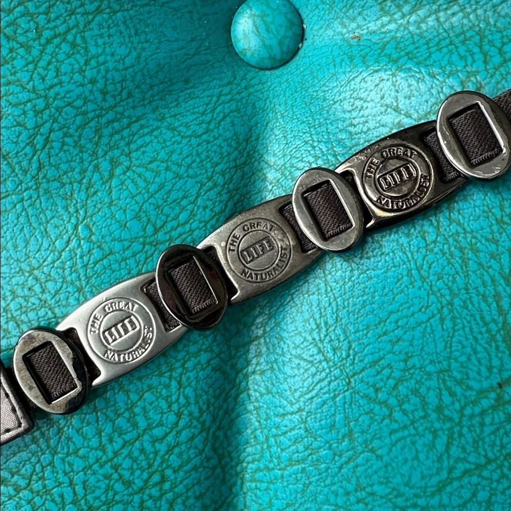 Vintage Suzie Roher life the great naturalist metal plate stretch statement belt
